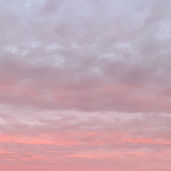 Meet your Posher, Rachel - Picture 1 of 1